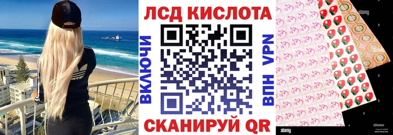 Марки NBOMe 1500мкг  даркнет сайт  Гороховец 