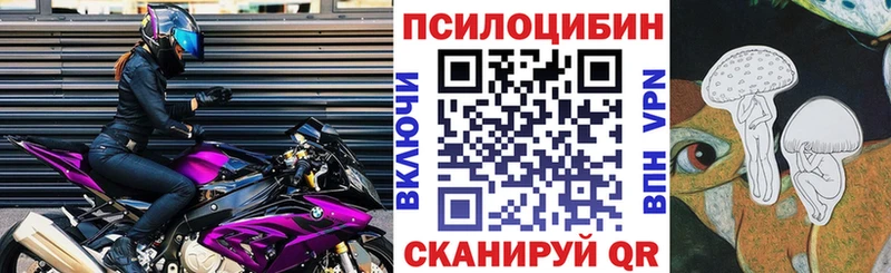 Псилоцибиновые грибы мицелий  Гороховец 